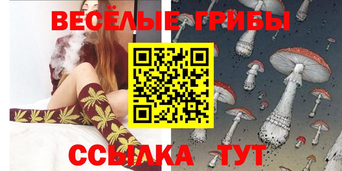 Псилоцибиновые грибы GOLDEN TEACHER Нижневартовск